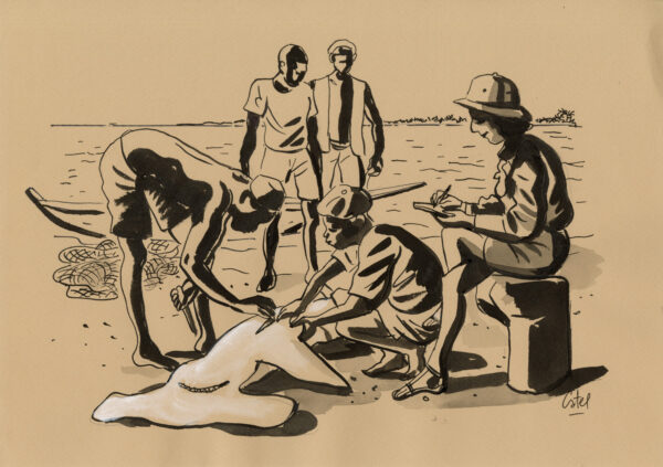 CATEL – ANITA CONTI - Dessin original pour une expo à la galerie Vu - R19