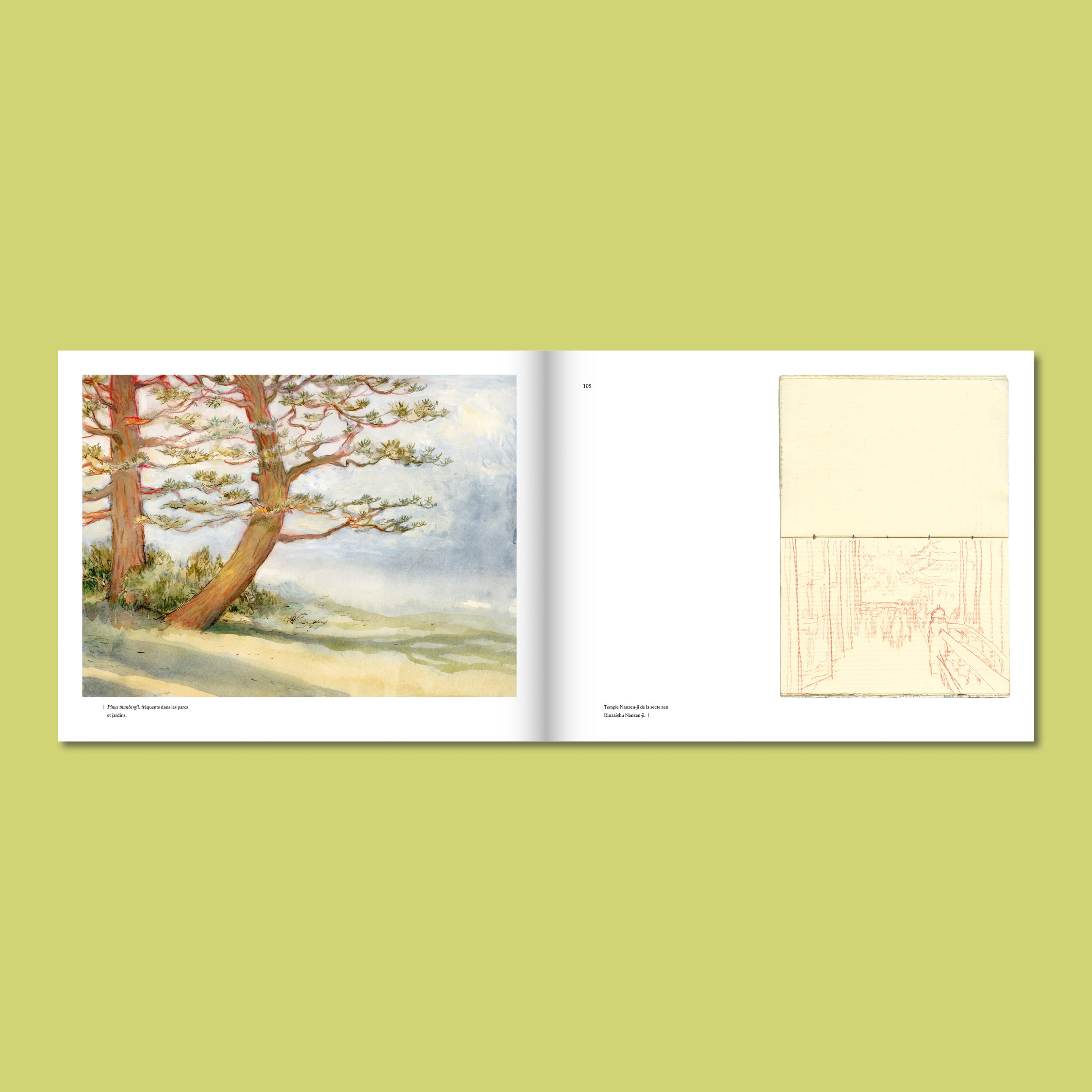 NICOLAS DE CRÉCY - Carnets du Japon – Image 6